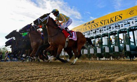 Preakness Stakes